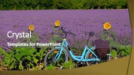  Presentation with electric bicycle - Amazing slide set having lavender field in provence france backdrop and a violet colored foreground