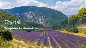  Presentation with lavender - Presentation theme having lavender-field-near-montbrun-les background and a ocean colored foreground