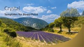  Presentation with lavender - PPT theme with lavender-field-near-montbrun-les background and a light blue colored foreground
