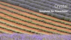  Presentation with soil red - Slide set consisting of lavender-files-background-abstract-detail background and a gray colored foreground