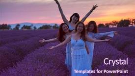  Presentation with newborn lavender - Beautiful theme featuring lavender flower field on beautyful backdrop and a wine colored foreground