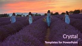  Presentation with lavender wedding invitation - PPT layouts with lavender flower field on beautyful background and a wine colored foreground