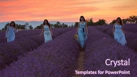  Presentation with difference lavender - Colorful slide deck enhanced with lavender flower field on beautyful backdrop and a wine colored foreground