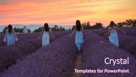  Presentation with lavender wedding invitation - Beautiful PPT layouts featuring lavender flower field on beautyful backdrop and a tawny brown colored foreground