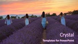  Presentation with lavender - Audience pleasing PPT layouts consisting of lavender flower field on beautyful backdrop and a tawny brown colored foreground