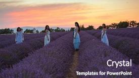  Presentation with blue flower bulb field - Slide deck featuring lavender flower field on beautyful background and a tawny brown colored foreground