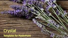 Presentation with lavender - Slide set consisting of lavender flower background and a tawny brown colored foreground