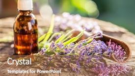  Presentation with floral border lavender flowers - Beautiful PPT theme featuring lavender flowers and oil backdrop and a coral colored foreground