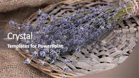 Presentation with lavender flowers - Audience pleasing slide set consisting of lavender flowers on sackcloth backdrop and a gray colored foreground