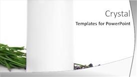  Presentation with lavender flowers - Cool new PPT layouts with lavender flowers with candle isolated on white backdrop and a white colored foreground