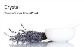  Presentation with lavender flowers - Cool new PPT theme with lavender flowers with mortar isolated on white backdrop and a white colored foreground