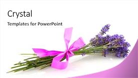  Presentation with floral border lavender flowers - Presentation theme enhanced with lavender flowers with pink bow background and a  colored foreground
