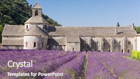  Presentation with apple trees are blooming pink - Colorful theme enhanced with lavender gordes vaucluse provence - france backdrop and a gray colored foreground