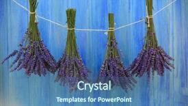  Presentation with barn - Theme having lavender herbs drying on the wooden barn in the garden background and a ocean colored foreground