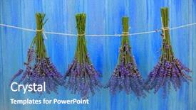  Presentation with barn - PPT layouts enhanced with lavender herbs drying on the wooden barn in the garden background and a teal colored foreground