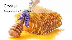  Presentation with lavender - Amazing PPT theme having lavender honey backdrop and a white colored foreground