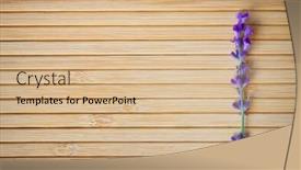  Presentation with element - Slide set having lavender on wooden texture element of design background and a lemonade colored foreground
