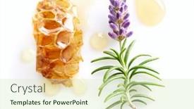  Presentation with honeycomb - Presentation theme consisting of lavender-plant-with-honeycomb background and a soft green colored foreground