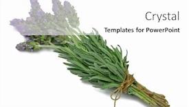  Presentation with pure white - Beautiful presentation theme featuring lavender-tied-in-a-bunch backdrop and a white colored foreground