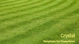  Presentation with texture - Beautiful presentation featuring lawn - beautiful green grass texture backdrop and a tawny brown colored foreground