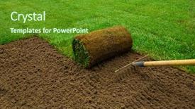  Presentation with buns rolls - Presentation having lawn - gardener applying turf rolls background and a tawny brown colored foreground