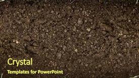  Presentation with green lawn - Beautiful slide set featuring lawn - green grass in soil backdrop and a tawny brown colored foreground