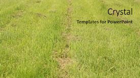  Presentation with cut - Presentation design featuring lawn after passing mower background and a yellow colored foreground