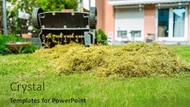  Presentation with moss - PPT theme featuring lawn-care-verticut-thatch background and a gold colored foreground