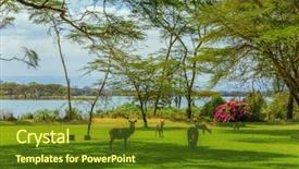  Presentation with green lake - Amazing PPT theme having lawn in the fairy lodge backdrop and a tawny brown colored foreground