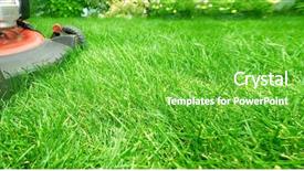  Presentation with grass meadow friendship youth - Slide deck consisting of lawn mower on grass background and a seafoam green colored foreground