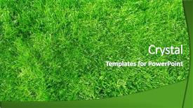  Presentation with lawn maintenance - Beautiful PPT theme featuring lawn mower backdrop and a shamrock green colored foreground