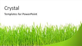  Presentation with green lawn - Slide deck consisting of lawn mowing - green grass isolated on white background and a white colored foreground