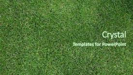  Presentation with grass - PPT layouts featuring lawn mowing - green grass texture background and a tawny brown colored foreground