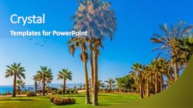  Presentation with southern beach grass - Audience pleasing theme consisting of lawns flock of migratory birds backdrop and a teal colored foreground