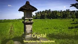  Presentation with rice field - Slide set consisting of layer farming - balinese rice field agricultural landscape background and a  colored foreground