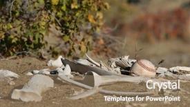  Presentation with baseball - Audience pleasing slides consisting of  backdrop and a  colored foreground