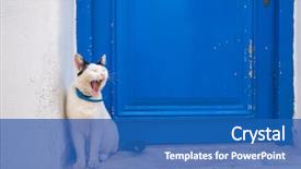  Presentation with greece blue - Presentation design with lazy town - sleepy domestic cute cat sitting background and a teal colored foreground