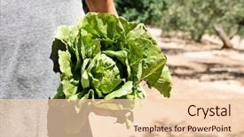  Presentation with orchard - Amazing presentation design having closeup of a young caucasian man with a romaine lettuce freshly collected in an organic orchard backdrop and a lemonade colored foreground