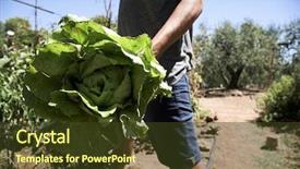  Presentation with orchard - Theme having  background and a  colored foreground