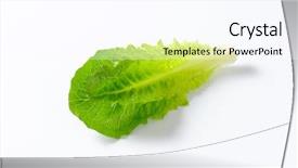  Presentation with lettuce - Audience pleasing presentation design consisting of  backdrop and a  colored foreground