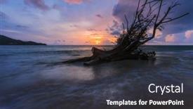  Presentation with tropical beach sunset - Presentation theme enhanced with ld-wood-snag-on-tropical background and a dark gray colored foreground