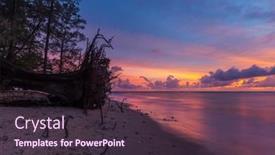  Presentation with tropical beach sunset - PPT layouts consisting of ld-wood-snag-on-tropical background and a wine colored foreground