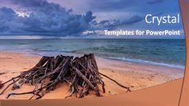  Presentation with tropical beach sunset - Amazing slides having ld-wood-snag-on-tropical backdrop and a teal colored foreground