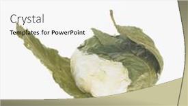  Presentation with cheese - Presentation theme enhanced with le-vache-de-chalais-cheese background and a white colored foreground