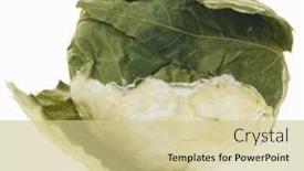  Presentation with cheese - PPT layouts enhanced with le-vache-de-chalais-cheese background and a soft green colored foreground