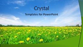  Presentation with blue green - Beautiful PPT theme featuring lea - green field with flowers backdrop and a teal colored foreground