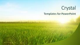  Presentation with green blur floral - Beautiful presentation theme featuring lea - green meadow under blue sky backdrop and a cool aqua colored foreground