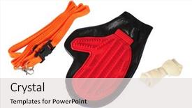  Presentation with elements - Slide deck featuring leaching - dog elements isolated background and a light gray colored foreground