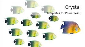  Presentation with school leadership - Presentation consisting of leadership concept - big fish leading background and a white colored foreground
