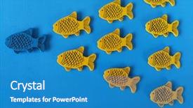  Presentation with school leadership - Amazing PPT layouts having leadership concept blue fish lead backdrop and a teal colored foreground